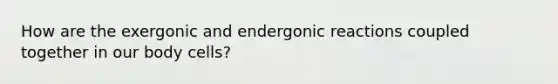 How are the exergonic and endergonic reactions coupled together in our body cells?