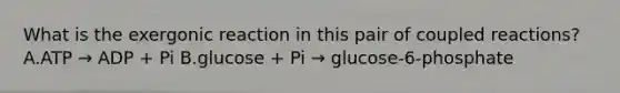 What is the exergonic reaction in this pair of coupled reactions? A.ATP → ADP + Pi B.glucose + Pi → glucose-6-phosphate