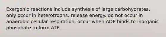 Exergonic reactions include synthesis of large carbohydrates. only occur in heterotrophs. release energy. do not occur in anaerobic cellular respiration. occur when ADP binds to inorganic phosphate to form ATP.