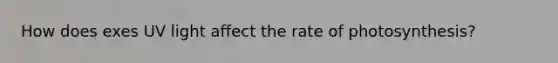 How does exes UV light affect the rate of photosynthesis?