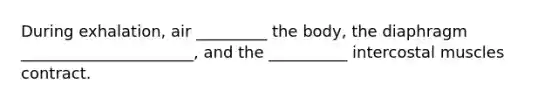 During exhalation, air _________ the body, the diaphragm ______________________, and the __________ intercostal muscles contract.