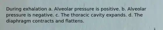 During exhalation a. Alveolar pressure is positive. b. Alveolar pressure is negative. c. The thoracic cavity expands. d. The diaphragm contracts and flattens.