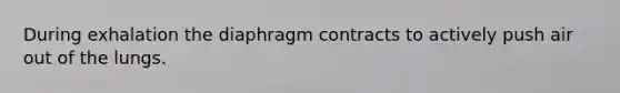 During exhalation the diaphragm contracts to actively push air out of the lungs.