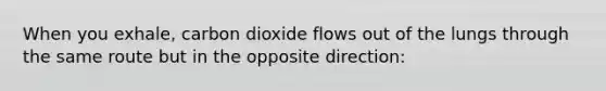 When you exhale, carbon dioxide flows out of the lungs through the same route but in the opposite direction: