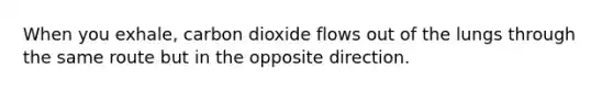 When you exhale, carbon dioxide flows out of the lungs through the same route but in the opposite direction.