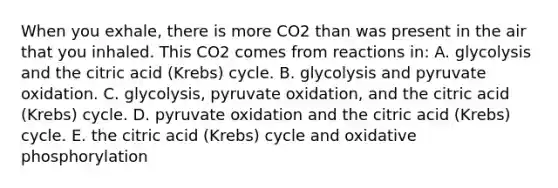 When you exhale, there is more CO2 than was present in the air that you inhaled. This CO2 comes from reactions in: A. glycolysis and the citric acid (Krebs) cycle. B. glycolysis and pyruvate oxidation. C. glycolysis, pyruvate oxidation, and the citric acid (Krebs) cycle. D. pyruvate oxidation and the citric acid (Krebs) cycle. E. the citric acid (Krebs) cycle and oxidative phosphorylation