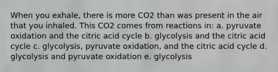 When you exhale, there is more CO2 than was present in the air that you inhaled. This CO2 comes from reactions in: a. pyruvate oxidation and the citric acid cycle b. glycolysis and the citric acid cycle c. glycolysis, pyruvate oxidation, and the citric acid cycle d. glycolysis and pyruvate oxidation e. glycolysis