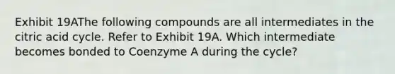 Exhibit 19AThe following compounds are all intermediates in the citric acid cycle. Refer to Exhibit 19A. Which intermediate becomes bonded to Coenzyme A during the cycle?