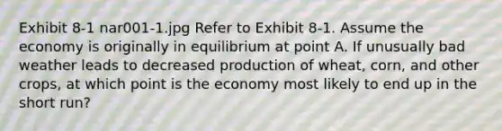 Exhibit 8-1 nar001-1.jpg Refer to Exhibit 8-1. Assume the economy is originally in equilibrium at point A. If unusually bad weather leads to decreased production of wheat, corn, and other crops, at which point is the economy most likely to end up in the short run?