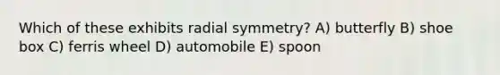 Which of these exhibits radial symmetry? A) butterfly B) shoe box C) ferris wheel D) automobile E) spoon