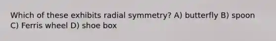 Which of these exhibits radial symmetry? A) butterfly B) spoon C) Ferris wheel D) shoe box