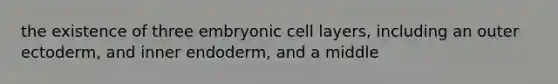 the existence of three embryonic cell layers, including an outer ectoderm, and inner endoderm, and a middle