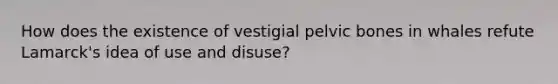 How does the existence of vestigial pelvic bones in whales refute Lamarck's idea of use and disuse?