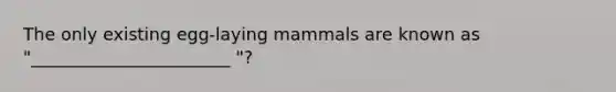 The only existing egg-laying mammals are known as "_______________________ "?