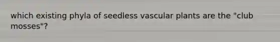 which existing phyla of seedless vascular plants are the "club mosses"?