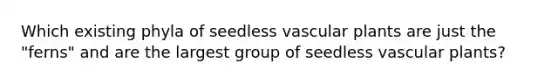 Which existing phyla of seedless vascular plants are just the "ferns" and are the largest group of seedless vascular plants?