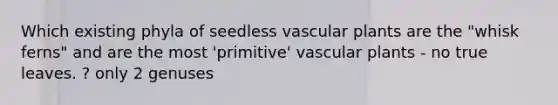 Which existing phyla of seedless vascular plants are the "whisk ferns" and are the most 'primitive' vascular plants - no true leaves. ? only 2 genuses