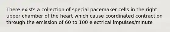 There exists a collection of special pacemaker cells in the right upper chamber of the heart which cause coordinated contraction through the emission of 60 to 100 electrical impulses/minute