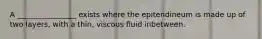 A ________________ exists where the epitendineum is made up of two layers, with a thin, viscous fluid inbetween.