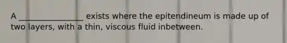 A ________________ exists where the epitendineum is made up of two layers, with a thin, viscous fluid inbetween.