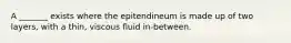 A _______ exists where the epitendineum is made up of two layers, with a thin, viscous fluid in-between.