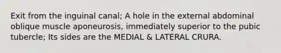 Exit from the inguinal canal; A hole in the external abdominal oblique muscle aponeurosis, immediately superior to the pubic tubercle; Its sides are the MEDIAL & LATERAL CRURA.