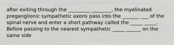 after exiting through the _________ ________, the myelinated preganglionic sympathetic axons pass into the _______ ___ of the spinal nerve and enter a short pathway called the _____ _____. Before passing to the nearest sympathetic _____ ______ on the same side