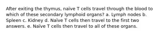 After exiting the thymus, naïve T cells travel through the blood to which of these secondary lymphoid organs? a. Lymph nodes b. Spleen c. Kidney d. Naïve T cells then travel to the first two answers. e. Naïve T cells then travel to all of these organs.