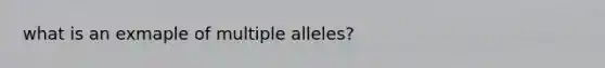 what is an exmaple of multiple alleles?