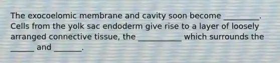 The exocoelomic membrane and cavity soon become _________. Cells from the yolk sac endoderm give rise to a layer of loosely arranged connective tissue, the ___________ which surrounds the ______ and _______.