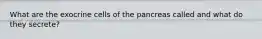 What are the exocrine cells of the pancreas called and what do they secrete?