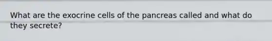 What are the exocrine cells of the pancreas called and what do they secrete?