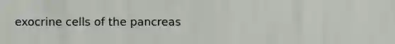 exocrine cells of <a href='https://www.questionai.com/knowledge/kITHRba4Cd-the-pancreas' class='anchor-knowledge'>the pancreas</a>