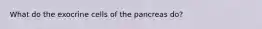 What do the exocrine cells of the pancreas do?