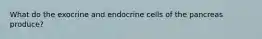 What do the exocrine and endocrine cells of the pancreas produce?