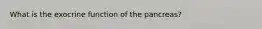 What is the exocrine function of the pancreas?