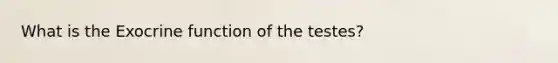 What is the Exocrine function of the testes?