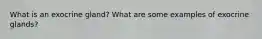 What is an exocrine gland? What are some examples of exocrine glands?