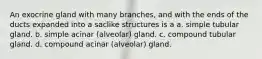 An exocrine gland with many branches, and with the ends of the ducts expanded into a saclike structures is a a. simple tubular gland. b. simple acinar (alveolar) gland. c. compound tubular gland. d. compound acinar (alveolar) gland.