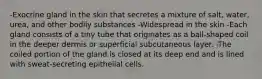 -Exocrine gland in the skin that secretes a mixture of salt, water, urea, and other bodily substances -Widespread in the skin -Each gland consists of a tiny tube that originates as a ball-shaped coil in the deeper dermis or superficial subcutaneous layer. -The coiled portion of the gland is closed at its deep end and is lined with sweat-secreting epithelial cells.