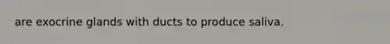 are exocrine glands with ducts to produce saliva.