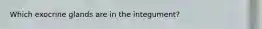 Which exocrine glands are in the integument?