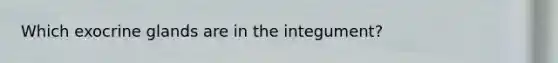 Which exocrine glands are in the integument?
