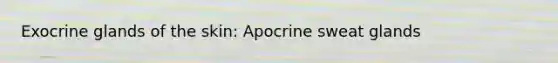 Exocrine glands of the skin: Apocrine sweat glands