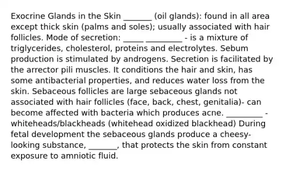 Exocrine Glands in the Skin _______ (oil glands): found in all area except thick skin (palms and soles); usually associated with hair follicles. Mode of secretion: _____ _________ - is a mixture of triglycerides, cholesterol, proteins and electrolytes. Sebum production is stimulated by androgens. Secretion is facilitated by the arrector pili muscles. It conditions the hair and skin, has some antibacterial properties, and reduces water loss from the skin. Sebaceous follicles are large sebaceous glands not associated with hair follicles (face, back, chest, genitalia)- can become affected with bacteria which produces acne. _________ - whiteheads/blackheads (whitehead oxidized blackhead) During fetal development the sebaceous glands produce a cheesy-looking substance, _______, that protects the skin from constant exposure to amniotic fluid.