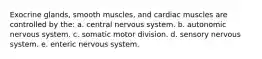 Exocrine glands, smooth muscles, and cardiac muscles are controlled by the: a. central nervous system. b. autonomic nervous system. c. somatic motor division. d. sensory nervous system. e. enteric nervous system.