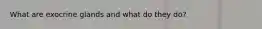 What are exocrine glands and what do they do?