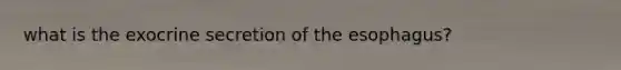 what is the exocrine secretion of the esophagus?