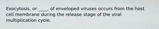 Exocytosis, or ____, of enveloped viruses occurs from the host cell membrane during the release stage of the viral multiplication cycle.