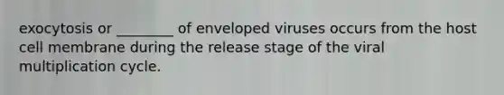 exocytosis or ________ of enveloped viruses occurs from the host cell membrane during the release stage of the viral multiplication cycle.